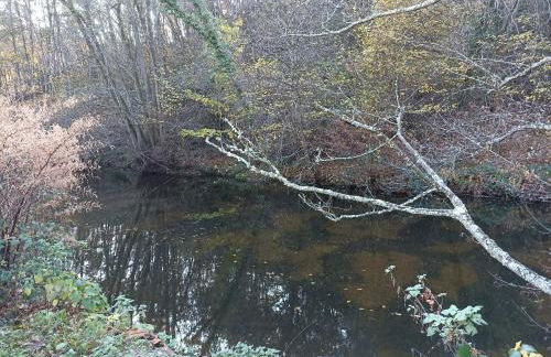 Gite des Grivats - Foto 14