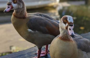 Tulana Taggs - floating home on idyllic island - Foto 32