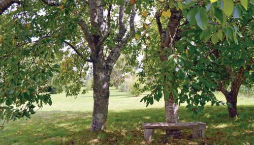 1 Bedroom Gorgeous Home In Tregunc - Foto 5, Garden