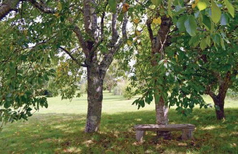 1 Bedroom Gorgeous Home In Tregunc - Foto 5