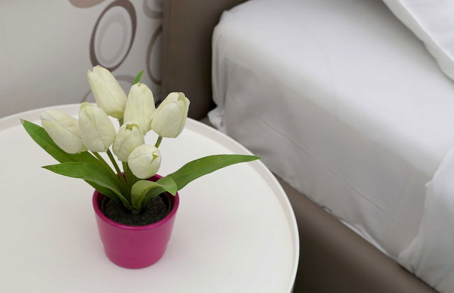 Villa Vanda - Photo 56