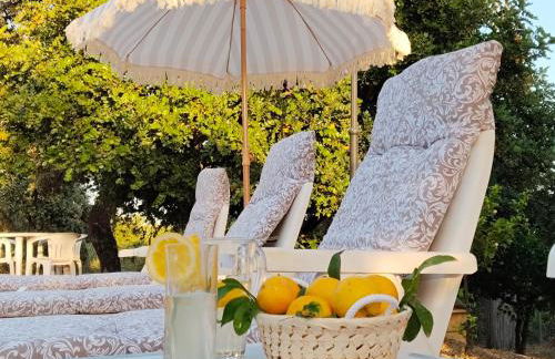 Los Tréboles - Foto 17