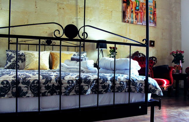 Maltese Maltese - Foto 24