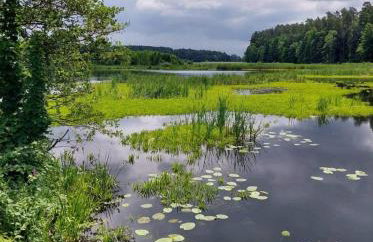 Agroturystyka Lisa Młyn - Foto 28
