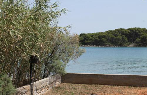 Family friendly seaside apartments Ugljan - 828 - Foto 20