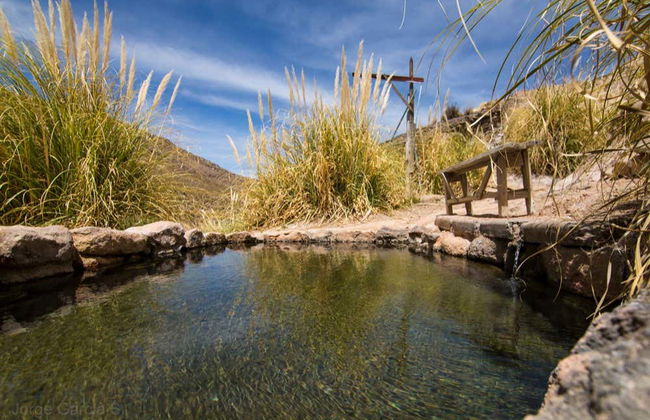 Lauca National Park Day Trip - Photo 6