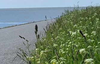 Holiday Home Neuhaus Deichperle by Interhome - Foto 31