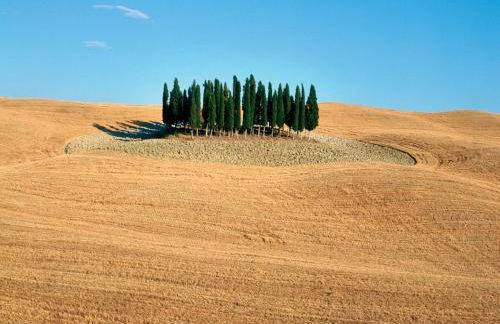 Agriturismo Poggio Tobruk - Foto 77
