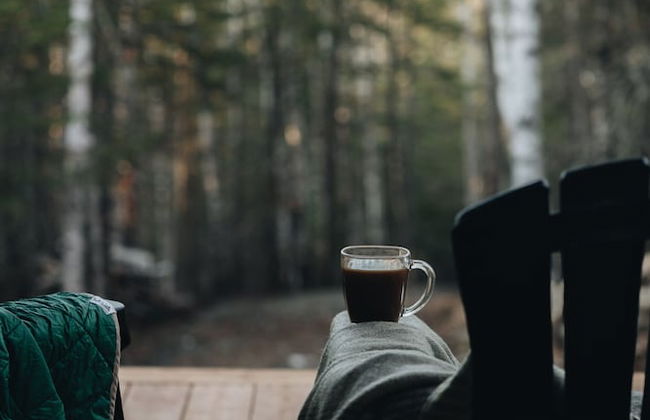 Tanières Microchalets - Photo 25