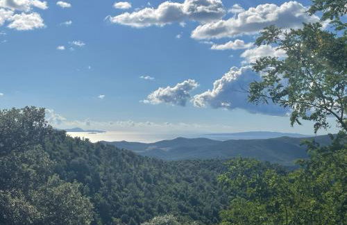 Nido d'Arte - Foto 20