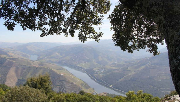 Valle del Douro
