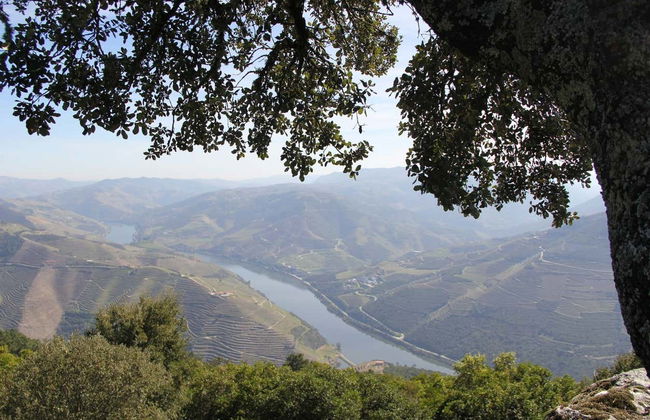 Duero Valley Tour - Photo 2