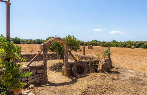 Son Julia - Photo 30