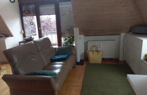 Aalens schönste Aussicht - Foto 14