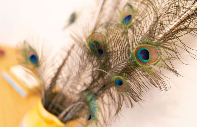 Red Squirrel Cottage Pet Friendly Family Adventure Retreat in Aberdeenshire - Photo 41