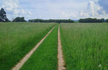 Bambi Forest House - Photo 20