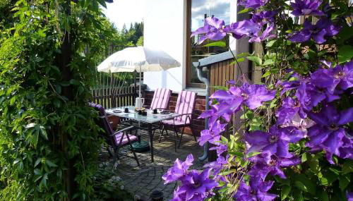 Hammerfinken-Nest - Foto 4