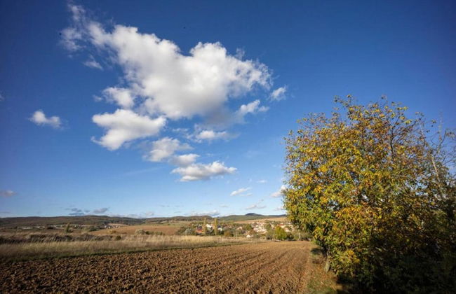 Relaxing Forest Escape With BBQ - Foto 32