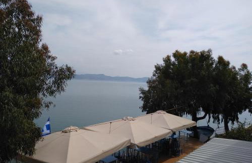 Vrachos Κanari - Photo 42