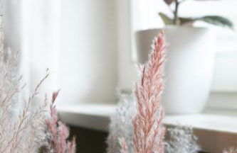 Ferienwohnung Creutzig - Foto 12