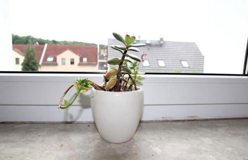 Pension 963 - Foto 14