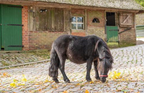 Heidehof Oberhaverbeck - Foto 44