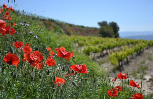 Cabanons Jour & Nuit - Foto 12