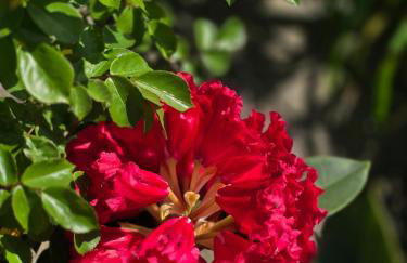 Gîte Ty Rosanès proche de la mer - Foto 65