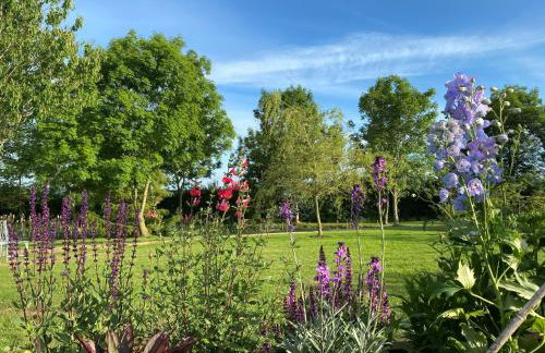 Silver Springs Farm Lodge - Foto 28