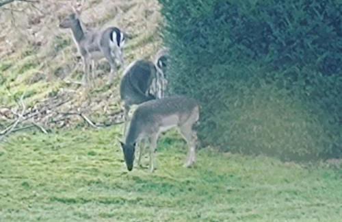 The West Wing at Eriviat Hall Hot Tub - Photo 49