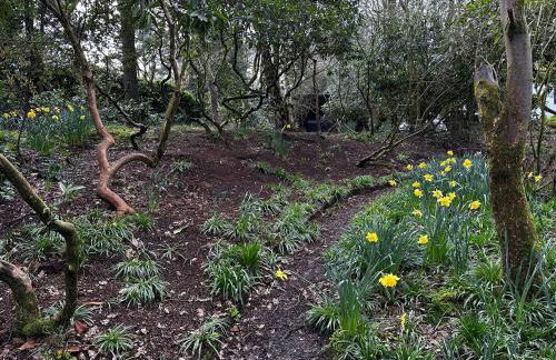 Acorn Lodge Luxury Retreat In a Stunning Oasis With Hot Tub - Pass the Keys - Foto 58