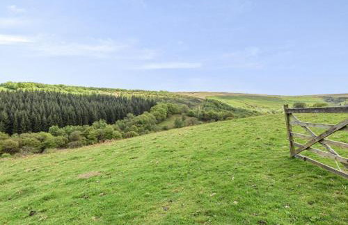 West Hollowcombe Farm Cottages - full site booking - Foto 19