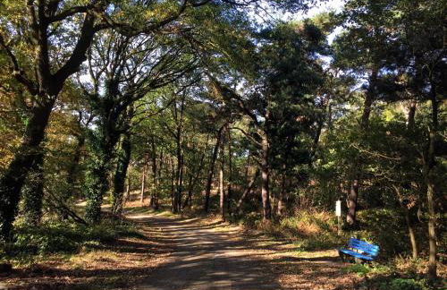 Mamat Ferienwohnungen - Foto 26