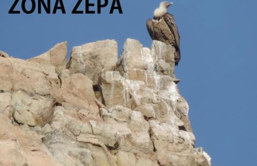 El Retiro de Isabel - Foto 48