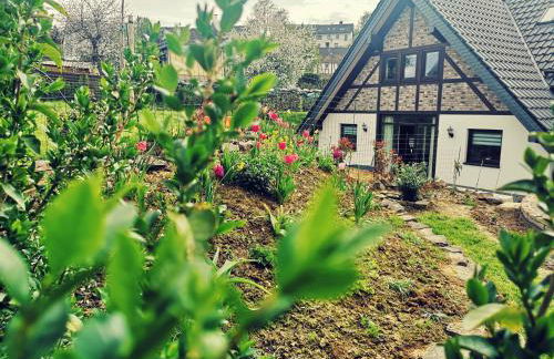 Ferienhaus Naturregion Sieg bis 6 Personen - Foto 44