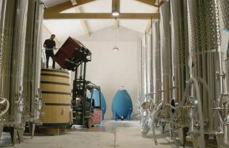 LES ROCHES - Photo 21