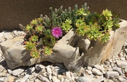 Apartments Laura 1 - Photo 57