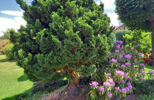 Wickys Igelnest - Foto 69