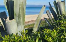 Ageri II Beach Front Apartment - Foto 34