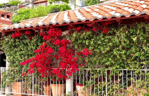 Apartment RR - Photo 38