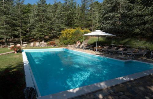 Borgo di Camporsevoli - Foto 9