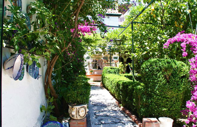 Tour por los cármenes de Granada - Foto 6