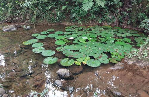 Casa Petar Betari - Foto 47