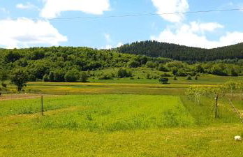 Apartmani Fenestra Tesla i Faust - Foto 32