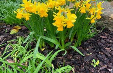 Casa in pietra in antico borgo vicino al centro - Foto 8