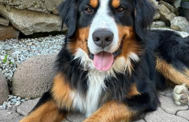 Feichterhof - Photo 40