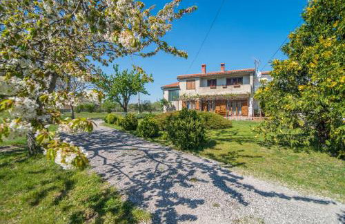 Apartment with Terrace in Filipana - Foto 3