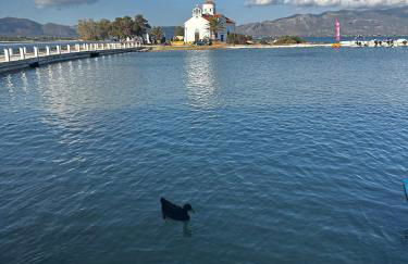 Εξοχική Μονοκατοικία με αυλή και εξωτερική αποθήκη-Country house with yard and external warehouse - Foto 41