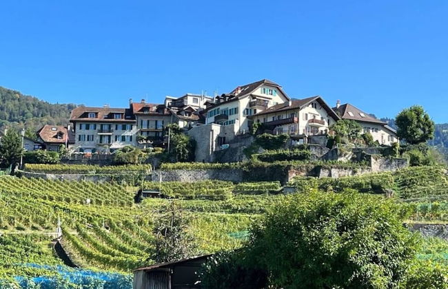 La Vigneronne, Tuin - Foto 7