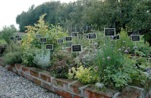 Chata na Zielonym Wzgórzu - Foto 70
